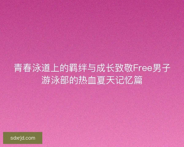 青春泳道上的羁绊与成长致敬Free男子游泳部的热血夏天记忆篇