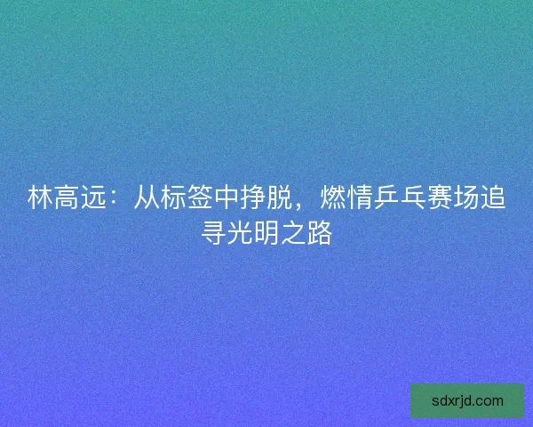 林高远:从标签中挣脱,燃情乒乓赛场追寻光明之路 林高远:从标签中挣脱,燃情乒乓赛场追寻光明之路